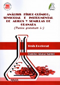Tesis Alcaraz Mármol005